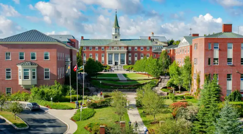 Career Advisor and Career Counseling and Guidance in Durg